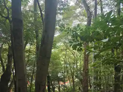 宝来山神社(和歌山県)