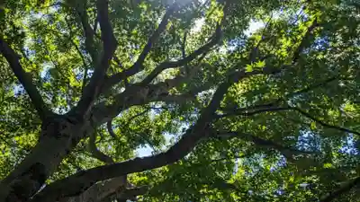 明月院(神奈川県)