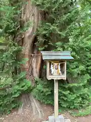 伊佐須美神社(福島県)