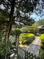 寿福寺(神奈川県)