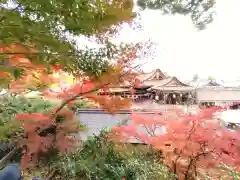 北野天満宮の建物その他