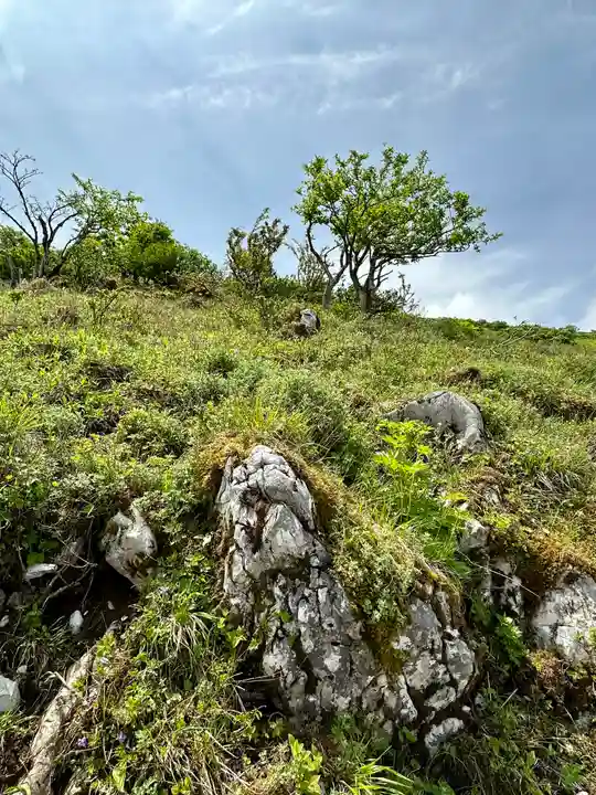 伊吹山(霊峰)(滋賀県)
