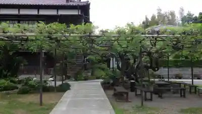 福王寺の自然