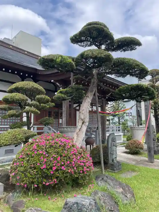 惠明寺(東京都)