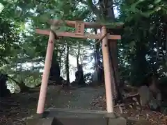 開運招福 飯玉神社(群馬県)