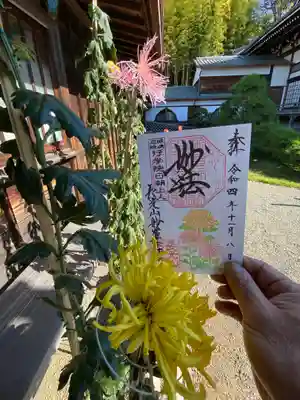 妙蓮寺(神奈川県)