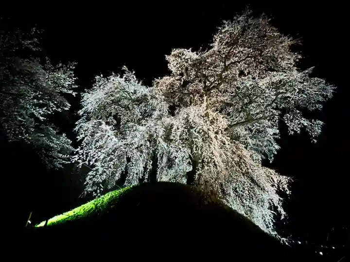 麻績神社(長野県)