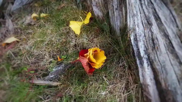 尾張大國霊神社(国府宮)の自然