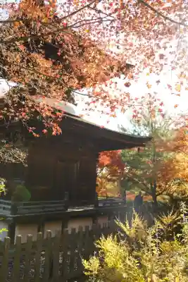 常寂光寺(京都府)