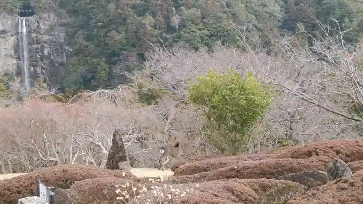 青岸渡寺(和歌山県)