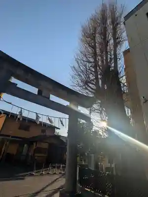 根岸八幡神社(神奈川県)