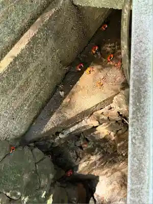 薬王寺(徳島県)