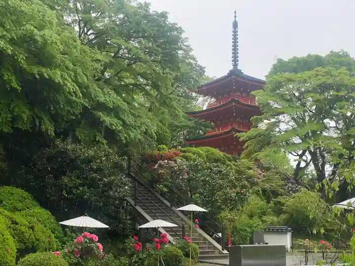 岡寺(龍蓋寺)の{uncategorized: "未分類", other: "その他", undefined: "問題あり", building: "その他建物", grave: "お墓", sacred_gate: "鳥居", guardian: "狛犬", statue: "像", buddha: "仏像", history: "歴史", nature: "自然", garden: "庭園", animal: "動物", pagoda: "塔", temizu: "手水舎", mountain_gate: "山門・神門", sanctuary: "本殿・本堂", subordinate: "末社・摂社", art: "芸術", scenery: "景色", jizo: "地蔵", ema: "絵馬", goshuin: "御朱印", omikuji: "おみくじ", items: "授与品その他", amulet: "お守り", goshuincho: "御朱印帳", eats: "食事", festival: "お祭り", votive_dance: "神楽", shichigosan: "七五三参", wedding: "結婚式", experience: "体験その他", initially: "初詣", around: "周辺", anti_infection: "感染症対策"}