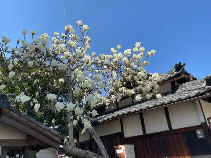 下多良神社の{uncategorized: "未分類", other: "その他", undefined: "問題あり", building: "その他建物", grave: "お墓", sacred_gate: "鳥居", guardian: "狛犬", statue: "像", buddha: "仏像", history: "歴史", nature: "自然", garden: "庭園", animal: "動物", pagoda: "塔", temizu: "手水舎", mountain_gate: "山門・神門", sanctuary: "本殿・本堂", subordinate: "末社・摂社", art: "芸術", scenery: "景色", jizo: "地蔵", ema: "絵馬", goshuin: "御朱印", omikuji: "おみくじ", items: "授与品その他", amulet: "お守り", goshuincho: "御朱印帳", eats: "食事", festival: "お祭り", votive_dance: "神楽", shichigosan: "七五三参", wedding: "結婚式", experience: "体験その他", initially: "初詣", around: "周辺", anti_infection: "感染症対策"}