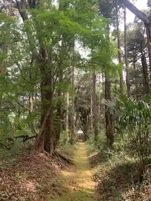 稲荷神社(千葉県)