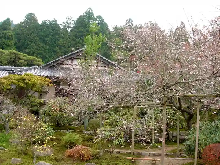 実光院(京都府)