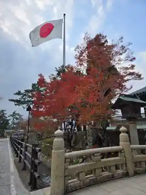 出雲大社(島根県)