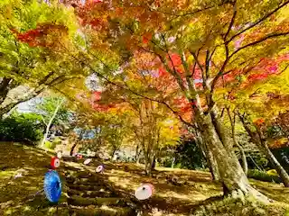 土津神社｜こどもと出世の神さまの自然