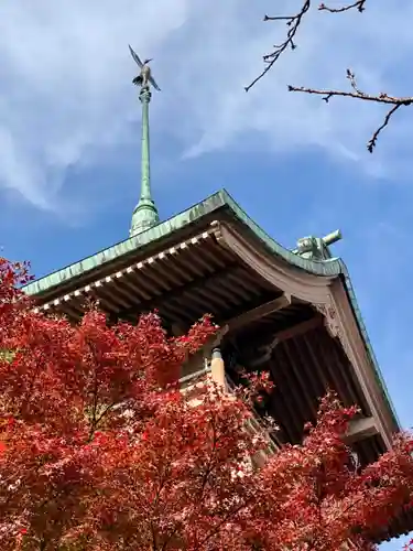 大雲院(京都府)
