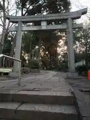 代々木八幡宮の鳥居