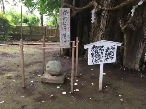 鶴嶺八幡宮の自然