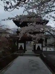 智恩寺(岩手県)