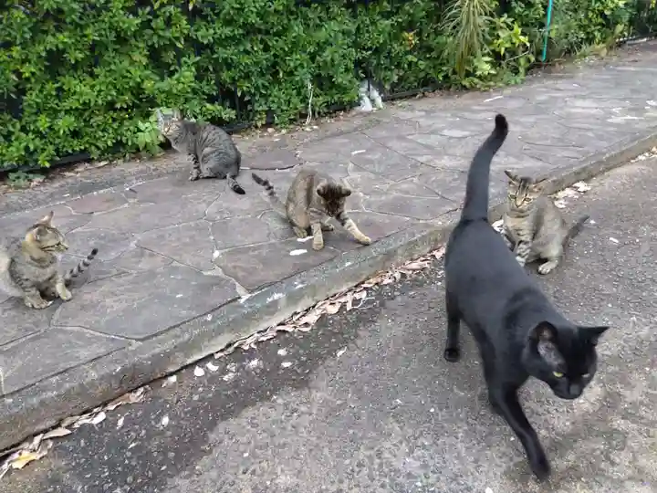 清泰寺(岐阜県)