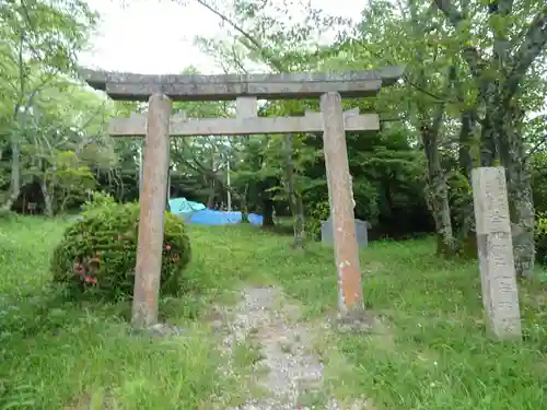 相撲神社の鳥居