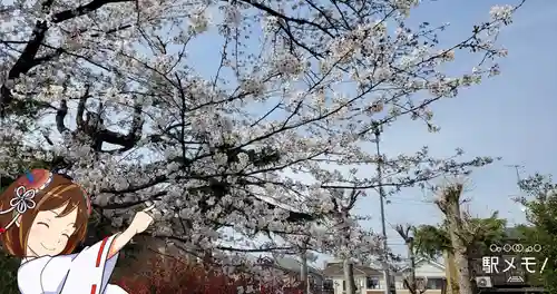 興之宮神社の自然