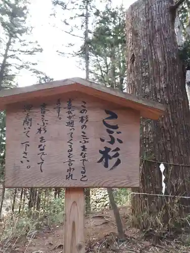 本宮神社（日光二荒山神社別宮）の歴史