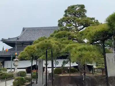 花岳寺(兵庫県)