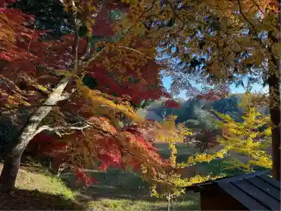 龍泉寺(岡山県)