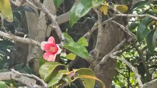 総見院(京都府)