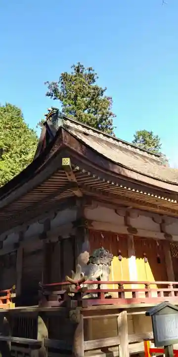 日吉大社の本殿・本堂