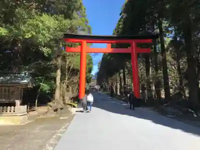 霧島神宮(鹿児島県)