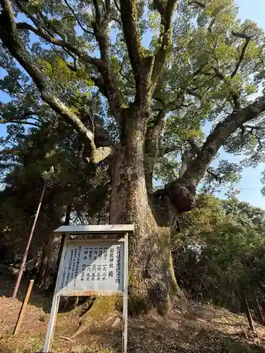 稲佐神社の{uncategorized: "未分類", other: "その他", undefined: "問題あり", building: "その他建物", grave: "お墓", sacred_gate: "鳥居", guardian: "狛犬", statue: "像", buddha: "仏像", history: "歴史", nature: "自然", garden: "庭園", animal: "動物", pagoda: "塔", temizu: "手水舎", mountain_gate: "山門・神門", sanctuary: "本殿・本堂", subordinate: "末社・摂社", art: "芸術", scenery: "景色", jizo: "地蔵", ema: "絵馬", goshuin: "御朱印", omikuji: "おみくじ", items: "授与品その他", amulet: "お守り", goshuincho: "御朱印帳", eats: "食事", festival: "お祭り", votive_dance: "神楽", shichigosan: "七五三参", wedding: "結婚式", experience: "体験その他", initially: "初詣", around: "周辺", anti_infection: "感染症対策"}