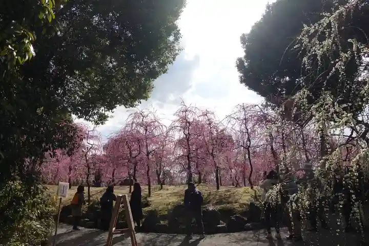 城南宮のその他建物