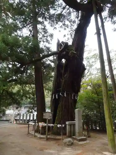 高倉神社の自然