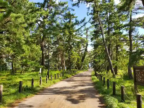 天橋立神社の周辺