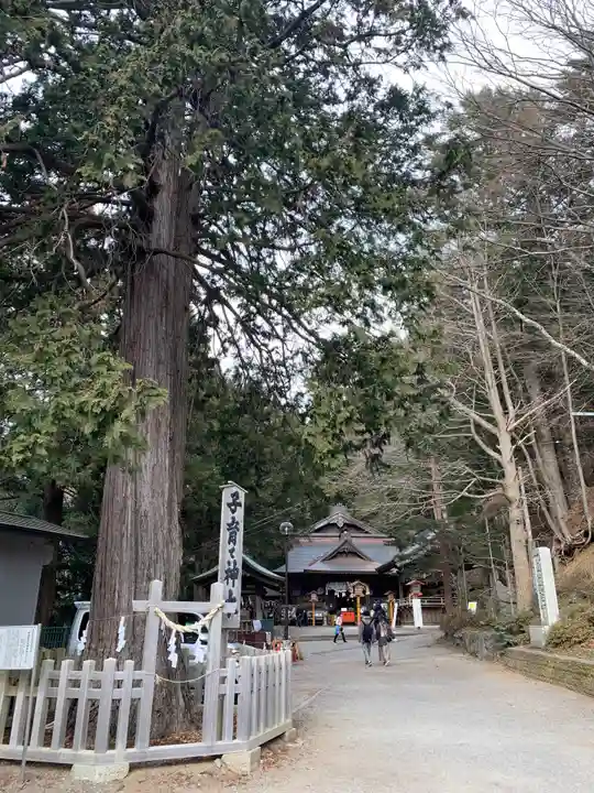 新倉富士浅間神社のその他建物
