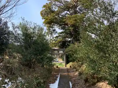 諏訪神社の鳥居