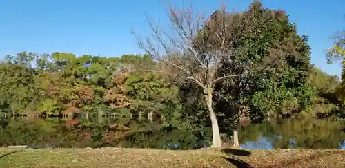 稲荷神社の庭園