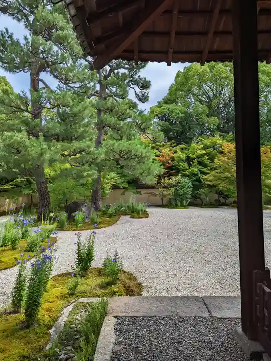 廬山寺(廬山天台講寺)(京都府)
