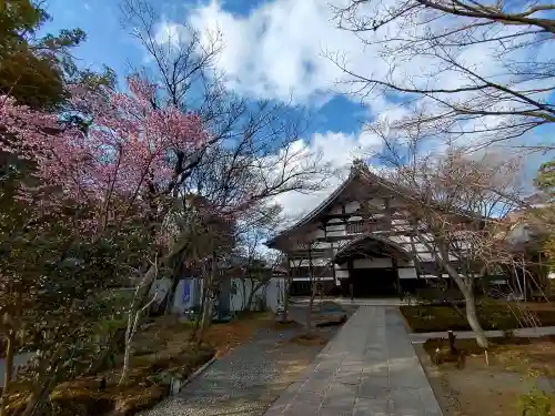 高台寺（高台寿聖禅寺・高臺寺）(京都府)