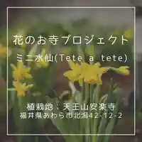 天王山 安楽寺(福井県)