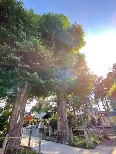 亀ケ池八幡宮の自然