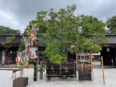 北野天満宮(京都府)