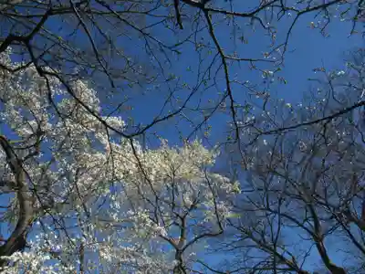 神明神社(千葉県)