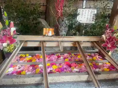東京大神宮(東京都)
