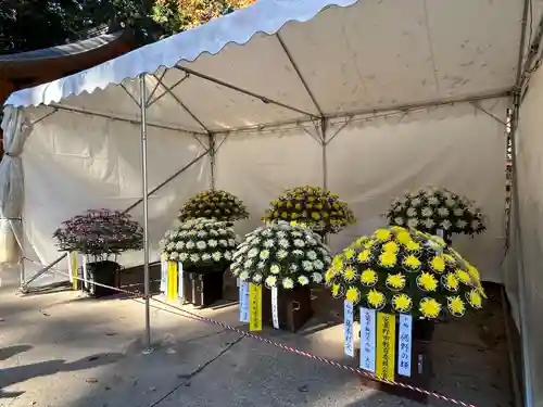 穂高神社本宮(長野県)